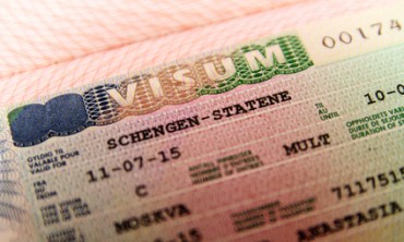 Pagalba su viza